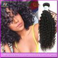 unprocessed curly virgin Brazilain hair hot selling jerry curl virgin brazilian hair weft